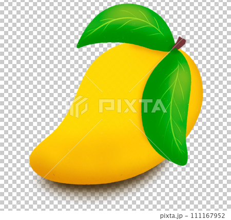 Mango fruit Mango fruit 111167952