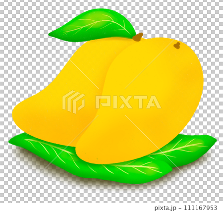 Mango fruit Mango fruit 111167953