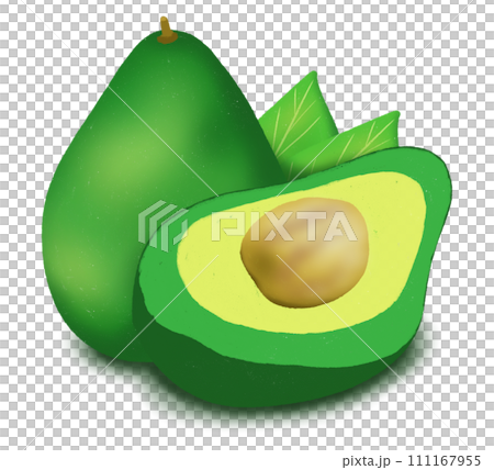 avocado 111167955