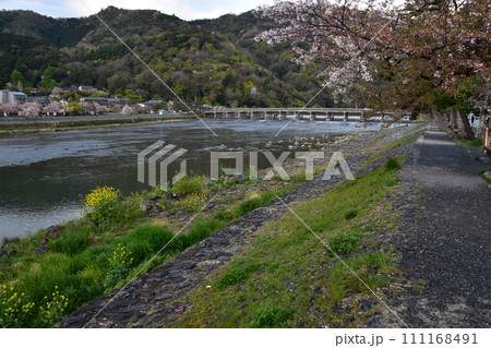 日本の春の京都 嵐山周辺の街並み 観光名所の渡月橋と桂川 美しい桜と新緑 日本の春の京都 嵐山周辺の街並み 観光名所の渡月橋と桂川 美しい桜と新緑 111168491