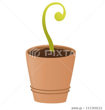 1518_sprout 111169222