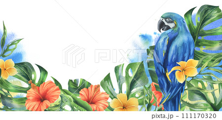 Tropical palm leaves, monstera and flowers of plumeria, hibiscus, bright juicy with blue-yellow macaw parrot. Hand drawn watercolor botanical illustration. Template frame isolated from the background 111170320