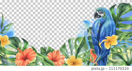 Tropical palm leaves, monstera and flowers of plumeria, hibiscus, bright juicy with blue-yellow macaw parrot. Hand drawn watercolor botanical illustration. Template frame isolated from the background 111170320