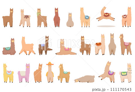 Alpaca icons set cartoon vector. Lamb sheep. Animal baby Alpaca icons set cartoon vector. Lamb sheep. Animal baby 111170543