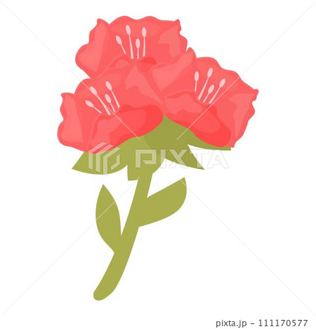 Rhododendron floral icon cartoon vector. Flower plant. Color nature 111170577