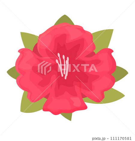 Rhododendron flower icon cartoon vector. Floral plant. Summer flora Rhododendron flower icon cartoon vector. Floral plant. Summer flora 111170581