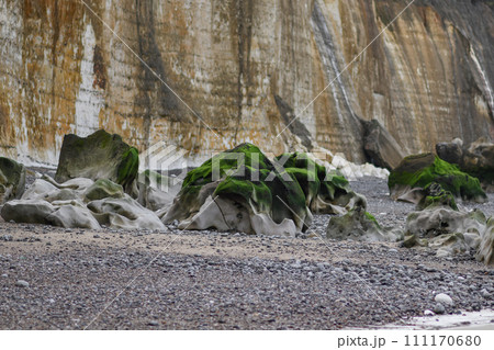 Stone with moss after the ebb of the ocean 111170680