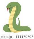 Nature cobra icon cartoon vector. King snake. Viper wild 111170707