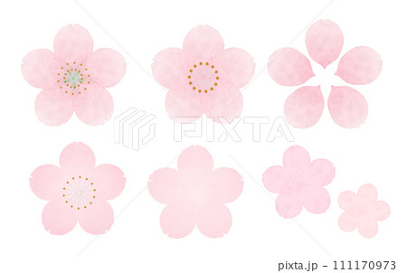 水彩画風の桜のイラスト 水彩画風の桜のイラスト 111170973