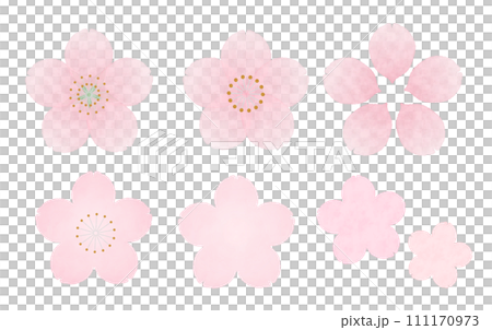 水彩画風の桜のイラスト 水彩画風の桜のイラスト 111170973