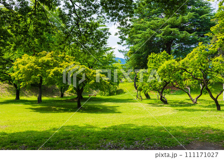 長野県上田市の初夏 新緑の上田城跡公園 長野県上田市の初夏 新緑の上田城跡公園 111171027