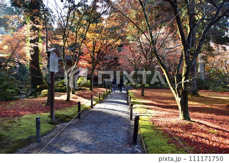 京都市 大原三千院の有清園と紅葉 京都市 大原三千院の有清園と紅葉 111171750