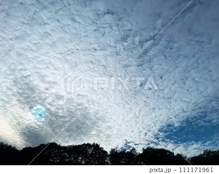 空に広がるひつじ雲 111171961