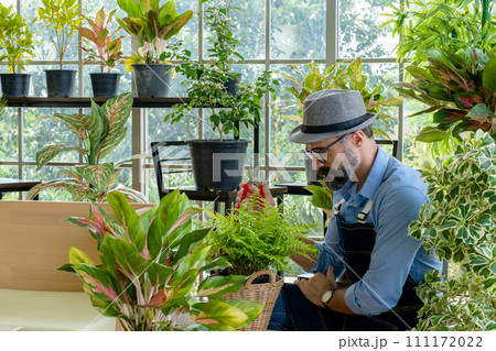 Hipster elderly men take care of the trees, pruning trees with scissors as a hobby of urban home gardening after sustainable retirement 111172022