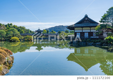 京都市　平安神宮神苑の栖鳳池 111172100