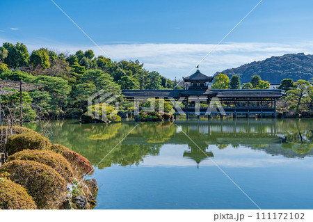 京都市 平安神宮神苑の栖鳳池 京都市 平安神宮神苑の栖鳳池 111172102