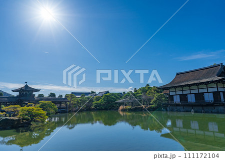 京都市　平安神宮神苑の栖鳳池 111172104