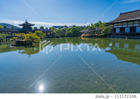 京都市 平安神宮神苑の栖鳳池 京都市 平安神宮神苑の栖鳳池 111172106