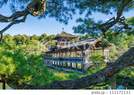 京都市 平安神宮神苑の屋根付き橋 泰平閣 京都市 平安神宮神苑の屋根付き橋 泰平閣 111172131