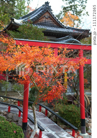 天明公園の紅葉 天明公園の紅葉 111172865