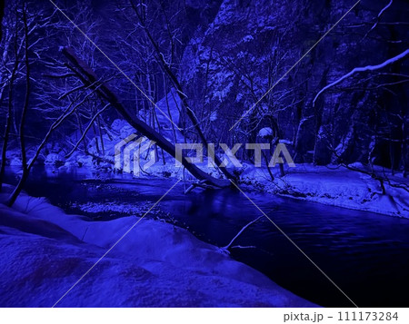 夜　奥入瀬渓流　 111173284