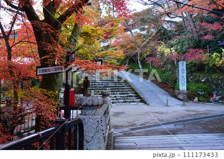 京都市 大原三千院桜の馬場入口と魚山橋付近紅葉と道しるべ 京都市 大原三千院桜の馬場入口と魚山橋付近紅葉と道しるべ 111173433