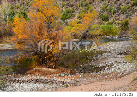 Salt River Recreation Area Arizona 111175302