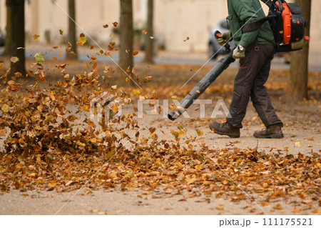 A man cleaning the park with a leaf blower 111175521