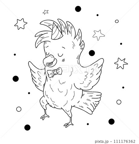 Vector illustration of a cute cockatoo in hand-draw doodle style. 111176362