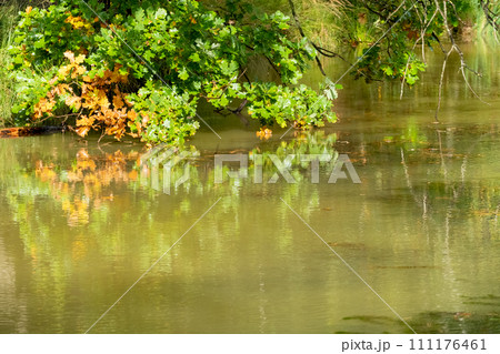 Autumn Reflections: Serene Riverbank Scene Autumn Reflections: Serene Riverbank Scene 111176461