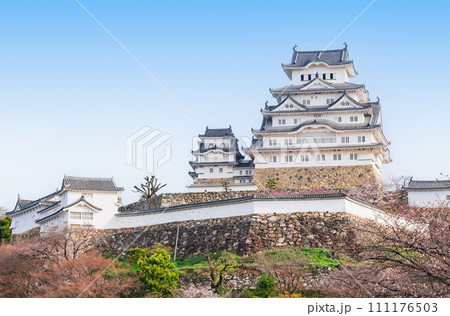春の姫路城　桜景 111176503