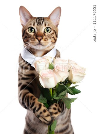Cute cat holding a bouquet of roses on a transparent background 111176553