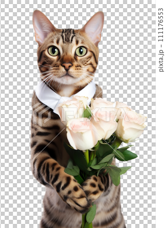 Cute cat holding a bouquet of roses on a transparent background 111176553