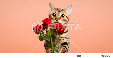 Cute cat with a bouquet of flowers on a uniform background 111176555