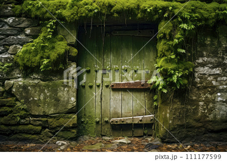 The ancient wooden door is overgrown with moss on the stone wall of historical building. The ancient wooden door is overgrown with moss on the stone wall of historical building. 111177599