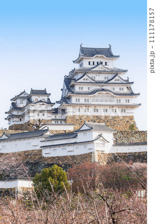 春の姫路城　桜景 111178157