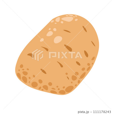 Organic vegetables from farm natural potato vector 111178243