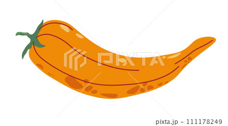Ripe and tasty pepper, fresh and organic product 111178249