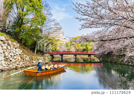 桜満開の姫路城 お堀を遊覧する和船と大天守 桜満開の姫路城 お堀を遊覧する和船と大天守 111178629