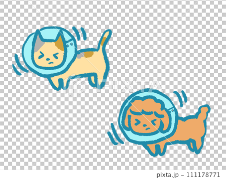 坐著的貓和狗的插圖 111178771