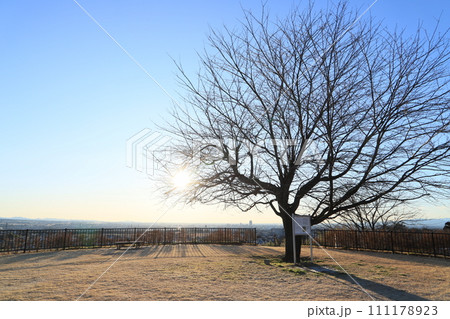 吉岡町城山みはらし公園（展望台からの見晴らし） 111178923