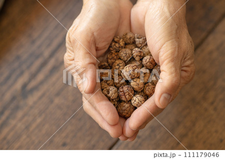 Dried seed herb, Amomum villosum Lour. Bustard cardamom, Tavoy cardamom,Zingiberaceae, Thai Asian dry herbal alternative medicine. Dried seed herb, Amomum villosum Lour. Bustard cardamom, Tavoy cardamom,Zingiberaceae, Thai Asian dry herbal alternative medicine. 111179046