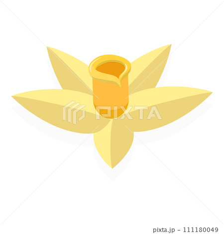 3D Isometric Flat Vector Set of Vanilla Elements. Item 2 111180049