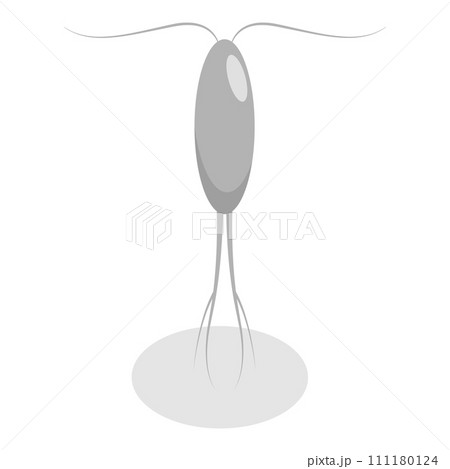 3D Isometric Flat Vector Set of Varieties Of Plankton. Item 5 3D Isometric Flat Vector Set of Varieties Of Plankton. Item 5 111180124