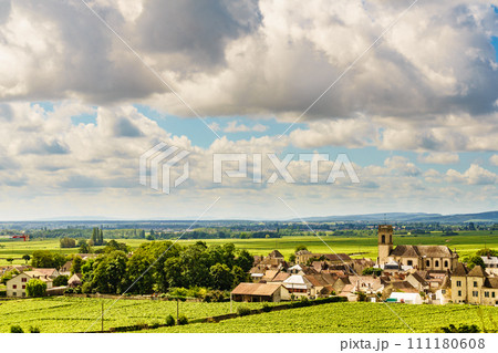Vineyards and Pommard village, Burgundy in France. Vineyards and Pommard village, Burgundy in France. 111180608