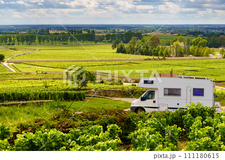 Camper visit vineyard region, Burgundy in France. 111180615