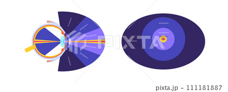 Peripheral vision poster 111181887