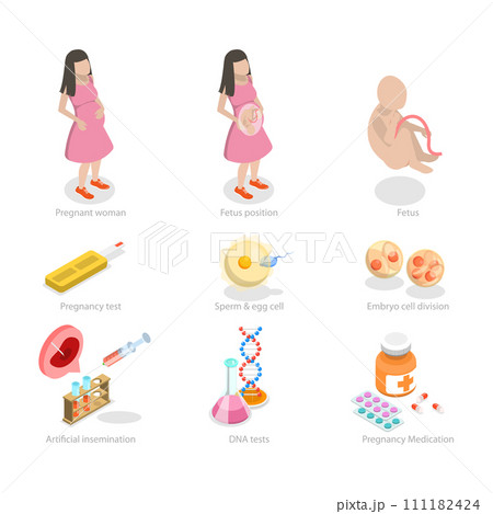 3D Isometric Flat Conceptual Illustration of Pregnancy And Obstetrics 3D Isometric Flat Conceptual Illustration of Pregnancy And Obstetrics 111182424