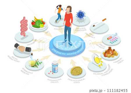 3D Isometric Flat  Conceptual Illustration of Epigenetic DNA 111182455