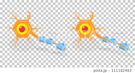 3D Isometric Flat  Conceptual Illustration of Multiple Sclerosis 111182483